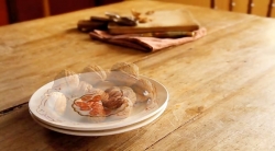 خیلی خیلی کوچک (2) (عنکبوت لجوج)